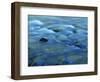 The Ohanapecosh River, Mt. Rainier National Park, Washington, USA-Charles Gurche-Framed Photographic Print