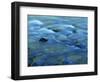 The Ohanapecosh River, Mt. Rainier National Park, Washington, USA-Charles Gurche-Framed Photographic Print