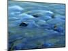 The Ohanapecosh River, Mt. Rainier National Park, Washington, USA-Charles Gurche-Mounted Photographic Print