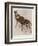 The Okapi (Ocapia Johnstoni), the New Animal Discovered in Central Africa-Harry Hamilton Johnston-Framed Giclee Print