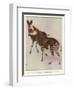 The Okapi (Ocapia Johnstoni), the New Animal Discovered in Central Africa-Harry Hamilton Johnston-Framed Giclee Print