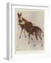 The Okapi (Ocapia Johnstoni), the New Animal Discovered in Central Africa-Harry Hamilton Johnston-Framed Giclee Print