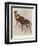 The Okapi (Ocapia Johnstoni), the New Animal Discovered in Central Africa-Harry Hamilton Johnston-Framed Premium Giclee Print