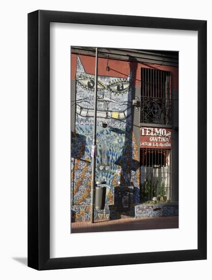 The old barrio of San Telmo, Buenos Aires, Argentina, South America-Julio Etchart-Framed Photographic Print