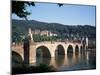 The Old Bridge Over the River Neckar, with the Castle in the Distance, Heidelberg, Germany-Geoff Renner-Mounted Photographic Print