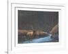 The Old Bull-Bill Elliot-Framed Collectable Print