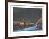 The Old Bull-Bill Elliot-Framed Collectable Print