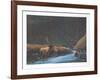 The Old Bull-Bill Elliot-Framed Collectable Print