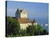 The Old Castle Towering Above Lake Constance, Meersburg, Baden-Wurttemberg, Germany, Europe-Ruth Tomlinson-Stretched Canvas