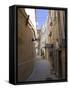 The Old City of Baku, UNESCO World Heritage Site, Azerbaijan, Central Asia, Asia-Michael Runkel-Framed Stretched Canvas