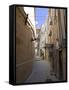 The Old City of Baku, UNESCO World Heritage Site, Azerbaijan, Central Asia, Asia-Michael Runkel-Framed Stretched Canvas