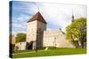 The Old City Walls of the Old Town of Tallinn, Estonia, Baltic States, Europe-Nico Tondini-Stretched Canvas