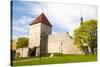 The Old City Walls of the Old Town of Tallinn, Estonia, Baltic States, Europe-Nico Tondini-Stretched Canvas