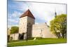 The Old City Walls of the Old Town of Tallinn, Estonia, Baltic States, Europe-Nico Tondini-Mounted Photographic Print