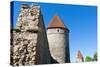 The Old City Walls of the Old Town of Tallinn, Estonia, Baltic States-Nico Tondini-Stretched Canvas