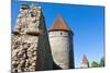 The Old City Walls of the Old Town of Tallinn, Estonia, Baltic States-Nico Tondini-Mounted Photographic Print