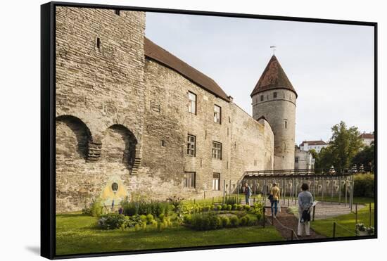 The Old City walls, Old Town, UNESCO World Heritage Site, Tallinn, Estonia, Europe-Ben Pipe-Framed Stretched Canvas