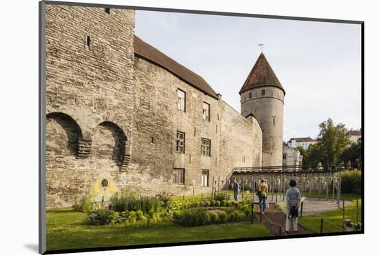 The Old City walls, Old Town, UNESCO World Heritage Site, Tallinn, Estonia, Europe-Ben Pipe-Mounted Photographic Print