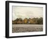 The Old Cotton Barn-Jai Johnson-Framed Giclee Print