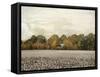 The Old Cotton Barn-Jai Johnson-Framed Stretched Canvas