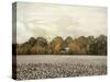 The Old Cotton Barn-Jai Johnson-Stretched Canvas