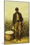 The Old Cotton Picker-William Aiken Walker-Mounted Giclee Print