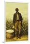 The Old Cotton Picker-William Aiken Walker-Framed Giclee Print