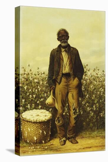 The Old Cotton Picker-William Aiken Walker-Stretched Canvas