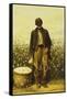 The Old Cotton Picker-William Aiken Walker-Framed Stretched Canvas