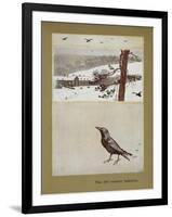 The Old Country Mansion - a Crow With a Large Country House in the Snow-Cecil Aldin-Framed Giclee Print