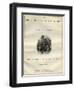 The Old Curiosity Shop by Charles Dickens-Charles Green-Framed Giclee Print