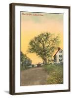 The Old Elm, Guilford, Connecticut-null-Framed Art Print