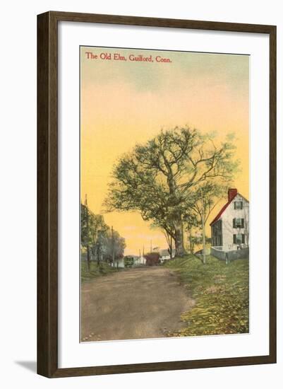 The Old Elm, Guilford, Connecticut-null-Framed Art Print