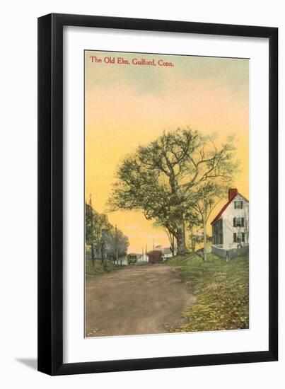 The Old Elm, Guilford, Connecticut-null-Framed Art Print