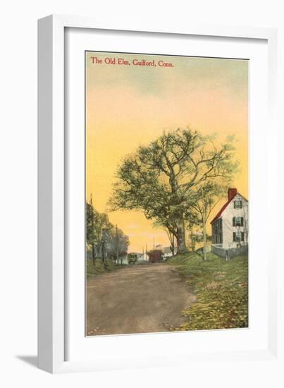 The Old Elm, Guilford, Connecticut-null-Framed Art Print