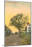 The Old Elm, Guilford, Connecticut-null-Mounted Art Print