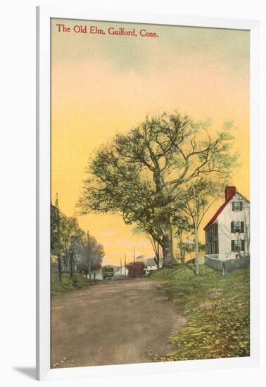 The Old Elm, Guilford, Connecticut-null-Framed Art Print