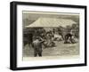 The Old English Mastiff Club Show at the Crystal Palace-null-Framed Giclee Print