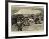 The Old English Mastiff Club Show at the Crystal Palace-null-Framed Giclee Print