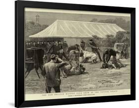 The Old English Mastiff Club Show at the Crystal Palace-null-Framed Giclee Print