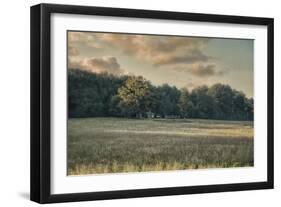 The Old Farm at Sunrise-Jai Johnson-Framed Giclee Print