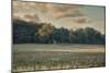 The Old Farm at Sunrise-Jai Johnson-Mounted Giclee Print