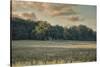 The Old Farm at Sunrise-Jai Johnson-Stretched Canvas