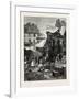 The Old Game and Poultry Market in Paris, Rance, 1882-null-Framed Giclee Print