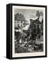 The Old Game and Poultry Market in Paris, Rance, 1882-null-Framed Stretched Canvas
