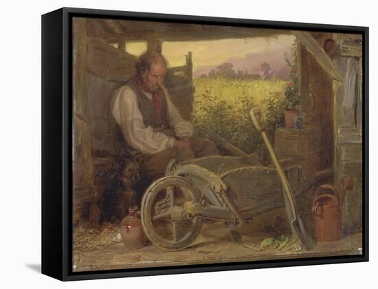 The Old Gardener, 1863-Briton Riviere-Framed Stretched Canvas