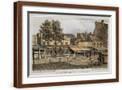 Brown Frame