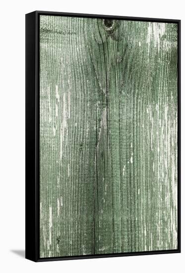 The Old Green Wood Texture with Natural Patterns-Madredus-Framed Stretched Canvas