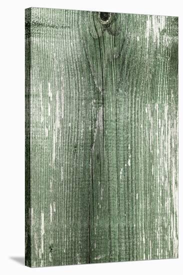 The Old Green Wood Texture with Natural Patterns-Madredus-Stretched Canvas