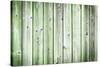 The Old Green Wood Texture with Natural Patterns-Madredus-Stretched Canvas